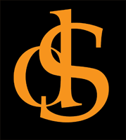 DS Logo